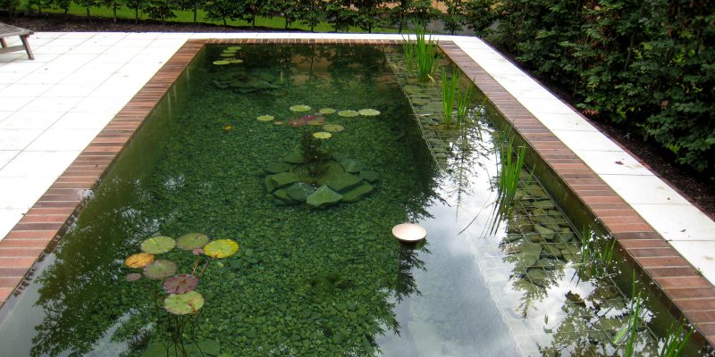 Gartenanlage in Pöcking Pool